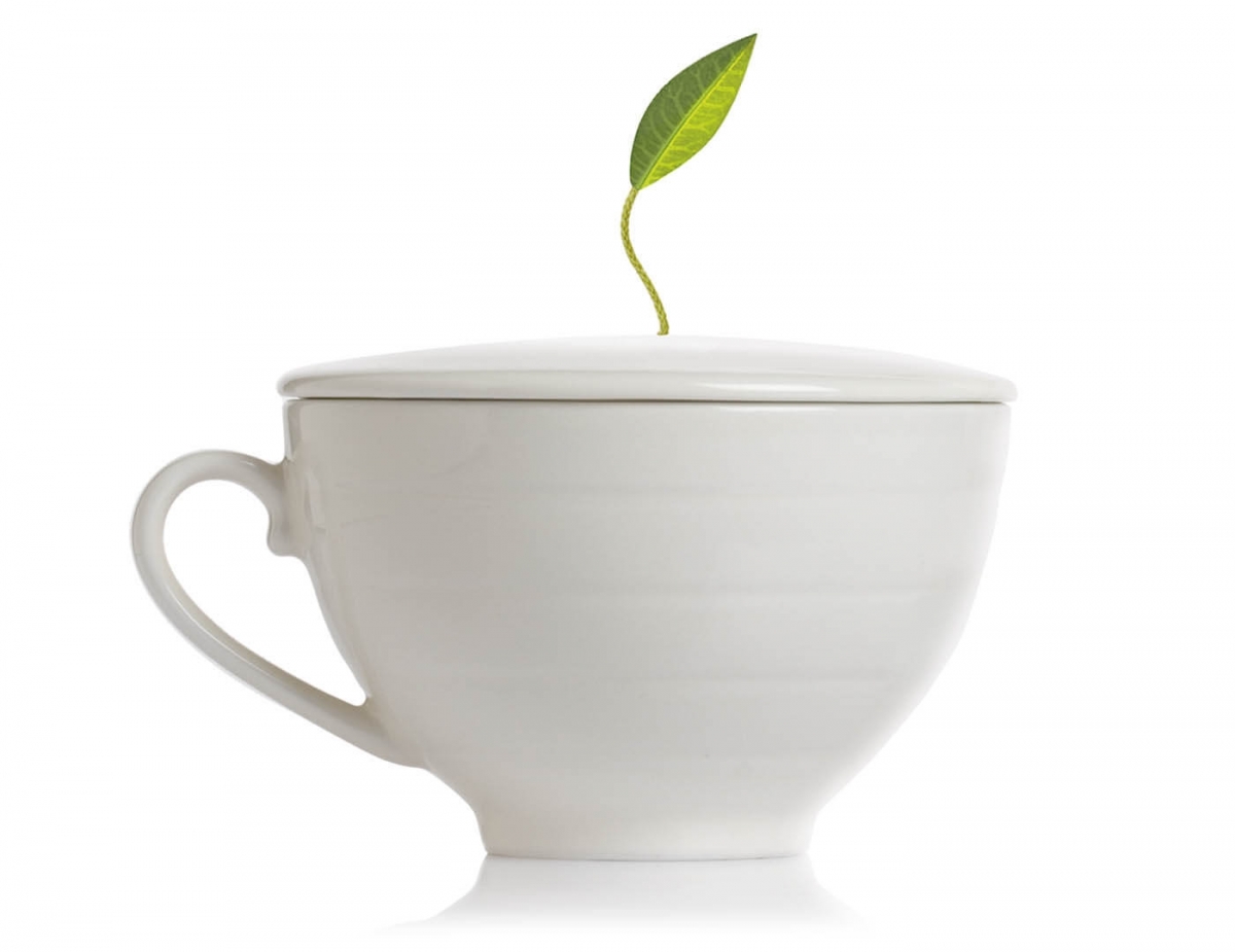Ceasca pentru ceai din portelan Cafe Cup - Tea Forte - imagine 4