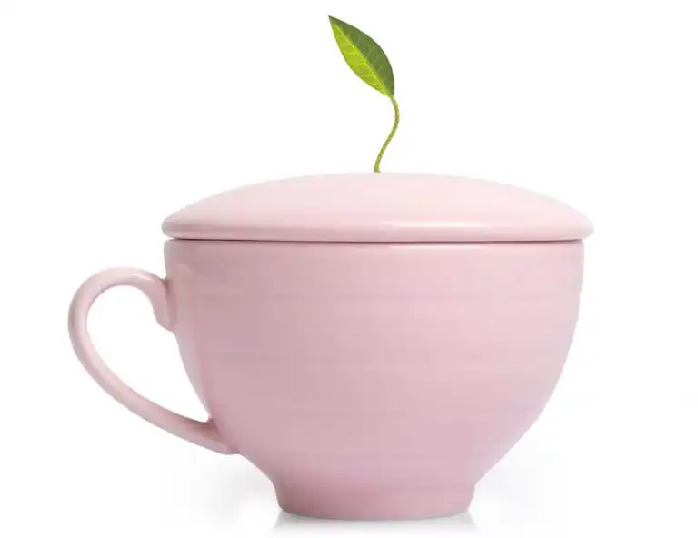 Set cadou ceai si accesorii ceai Jardin gift set – Tea Forte