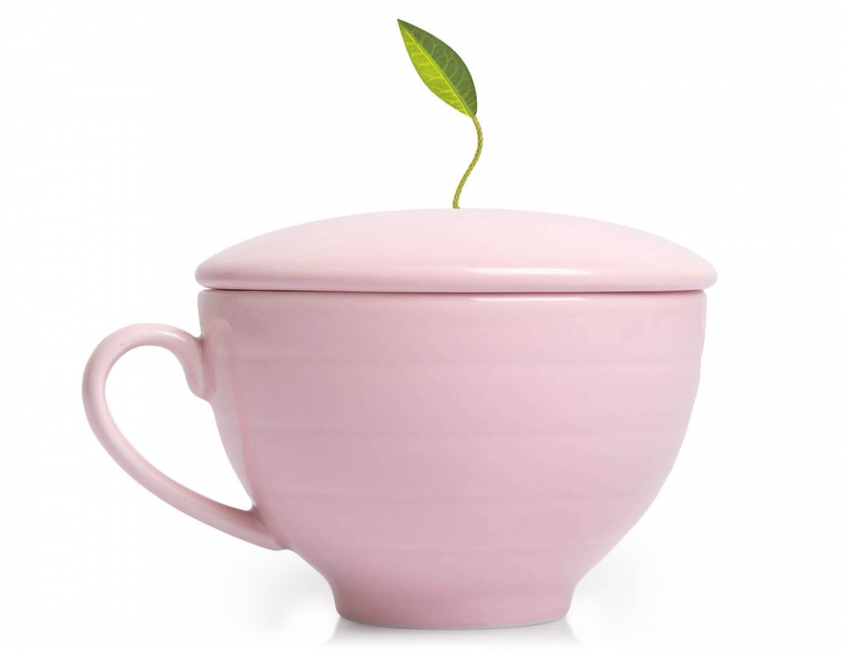 Set cadou ceai si accesorii ceai Jardin gift set - Tea Forte - imagine 2