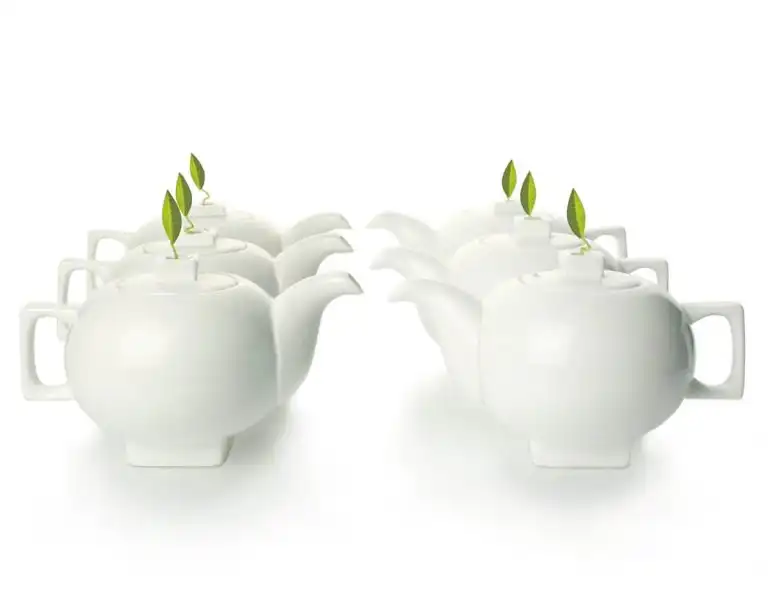 SET CU 6 CEAINICE SOLSTICE TEAPOTS