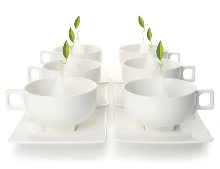 SET CU 6 CANI CU FARFURIE SOLSTICE TEACUPS