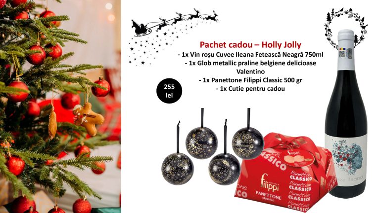 Cos cadou – Holly Jolly