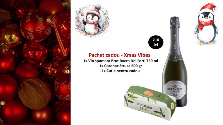 Cos cadou – Xmas Vibes