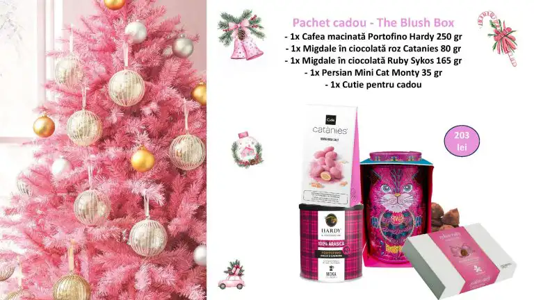 Cos cadou – The Blush Box