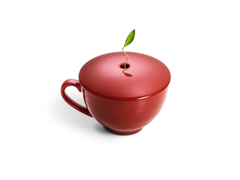 Cos cadou – Infuse the Joy